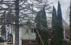 805 Ferdinand Street, Scranton, PA 18508