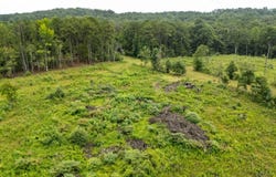 CAMBRIDGE Dr, Winfield, AL 35594