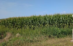 61010 180th St, Chokio, MN 56221
