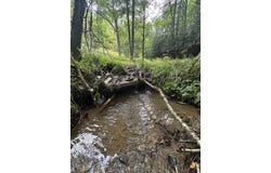 230 Little River Retreat Rd, Bartow, WV 24920