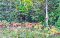 Parcel B M28 Highway, Marquette, MI 49855