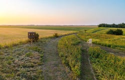 NE 110th St, Turon, KS 67583