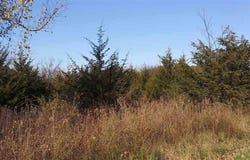 2 Redwing Court, GALENA, IL 61036