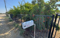 7347 Road 134, Earlimart, CA 93219