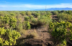 Lane 6N, Mosca, CO 81146