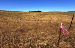 Erickson Rd, Centerville, WA 98613