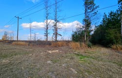 Hwy 35, Collins, MS 39428