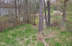 4161 Pine Street, Gladwin, MI 48624