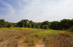 E 1990 Rd, Wilson, OK 73463