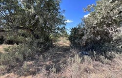 C.R. 241, Clyde, TX 79510
