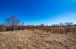 37675 395th Street, Dent, MN 56528