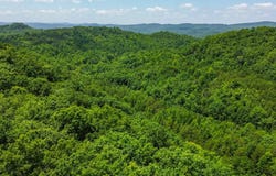 02 Little White Oak Rd., Duff, TN 37729