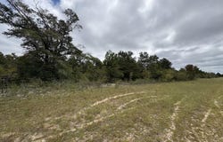 Deltona Boulevard lot: 2, Chipley, FL 32428
