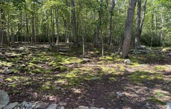 793 FOX TAIL Road, OAKLAND, MD 21550