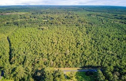 1739 Summers Drive, Ridgeville, SC 29472