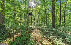 Prospect Road, Carnesville, GA 30521