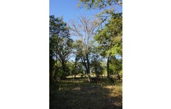 1714 Doc Holiday, Log Cabin, TX 75148
