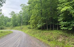 Tbd Cove Creek Rd, Bastian, VA 24314