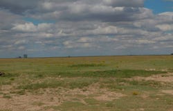 2626 Mile 18, Goodwell, OK 73939