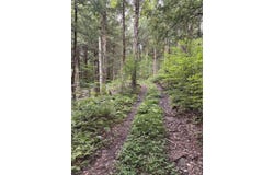 30 Bentley Lane, Jericho, VT 05465