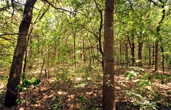 10 County Road 2263, Valley View, TX 76272