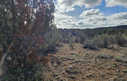 30022 W Amalia Road, Seligman, AZ 86337