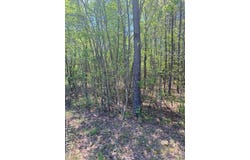 Tower Rd lot: 8, Brodnax, VA 23920