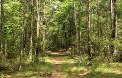 Tbd Hepzibah Rd, Clinton, LA 70722