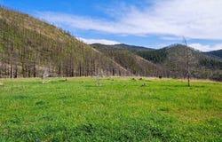 2010 US- 12 Highway E, Townsend, MT 59644
