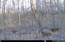 20+- Acres McCasland Rd, Stover, MO 65084