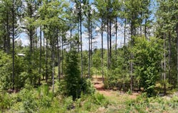 6+/- AC Parson Road, McConnells, SC 29726