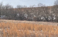 Autumn Rd, Harris, MO 64641