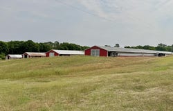 2065 County Road 6, Black, AL 36344