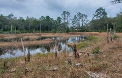 127 GLENDALE Avenue, Interlachen, FL 32148