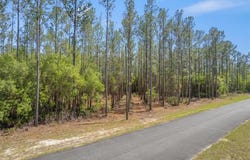 Heritage Way lot: 22, Hortense, GA 31543