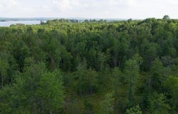 Pond Road lot: 1, Burnham, ME 04922