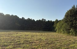 Old Six Mile Rd, Somerville, AL 35670