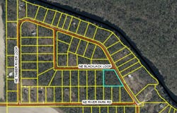 NE TIMBER RIVER Loop, LEE, FL 32059
