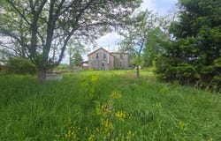 441 Grewe Rd, Pitcher, NY 13136