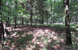 Vireton Rd, Krebs, OK 74554