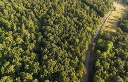 Kirkendoll Road, Clinton, AR 72031-8959