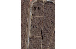 91A&91B Holly Ln lot: 91A&B, Spencer, TN 38583