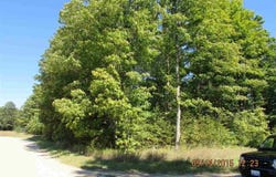 UNIT 39 KLEEHAMMER CLUB DRIVE, KALKASKA, MI 49646
