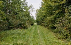 3777 Wayland Road, Diamond, OH 44412