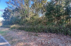 NE 14TH Street, OCALA, FL 34470