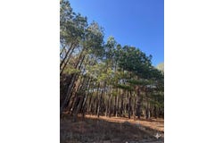 32 Dawnview Way Trail, Broken Bow, OK 74728