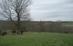 N Rays Fork Road, Sadieville, KY 40370