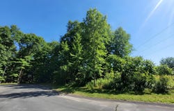 7336 Pin Oak Circle, Augusta, MI 49012