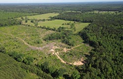 CR 2729, Naples, TX 75568