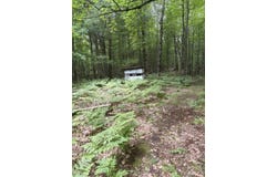 3680 Wieman Road, Beaverton, MI 48612